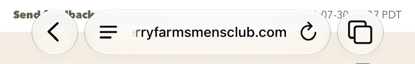 Safari bottom toolbar showing the Page Menu button